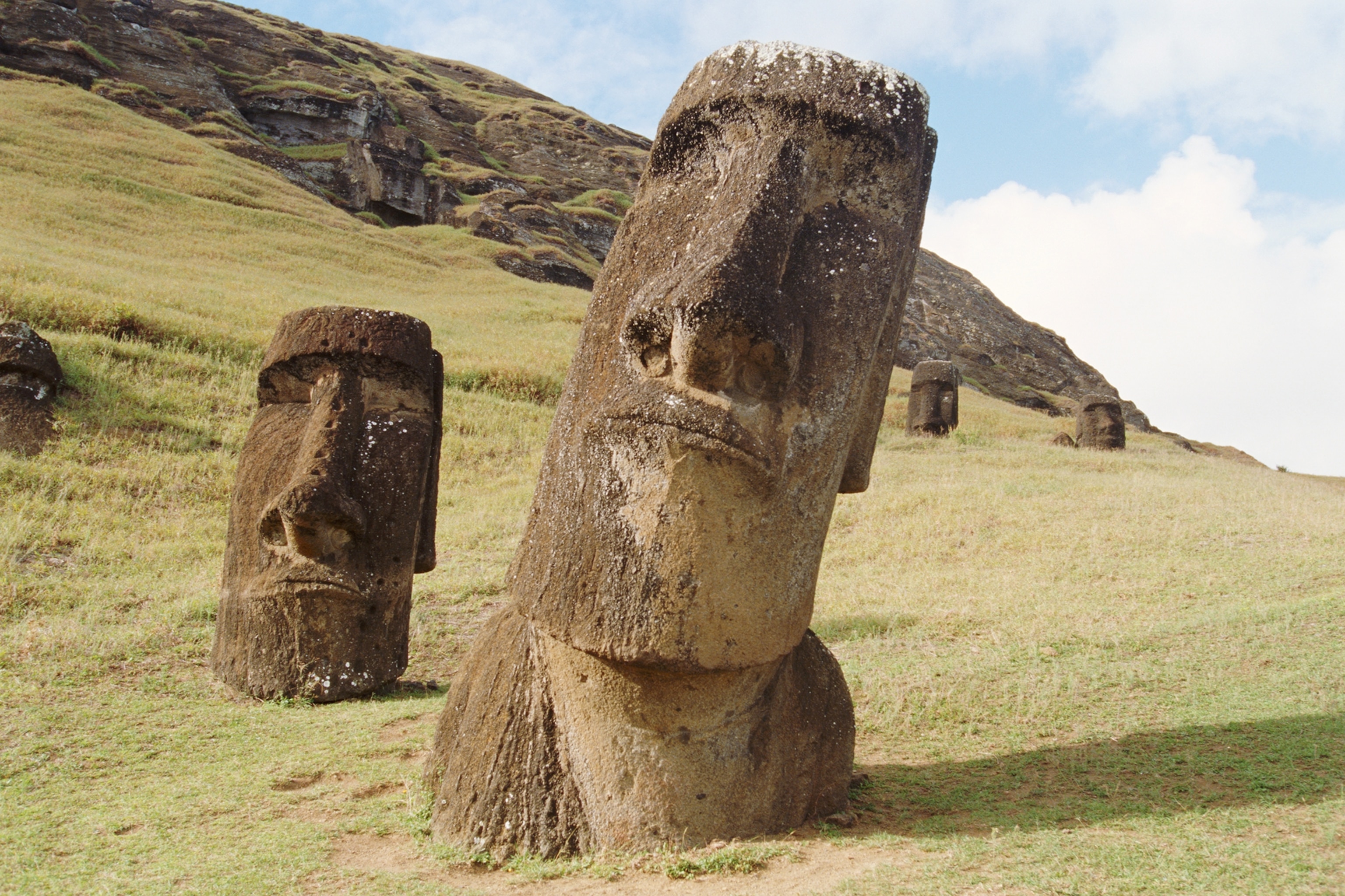 moai heads in easter island close up