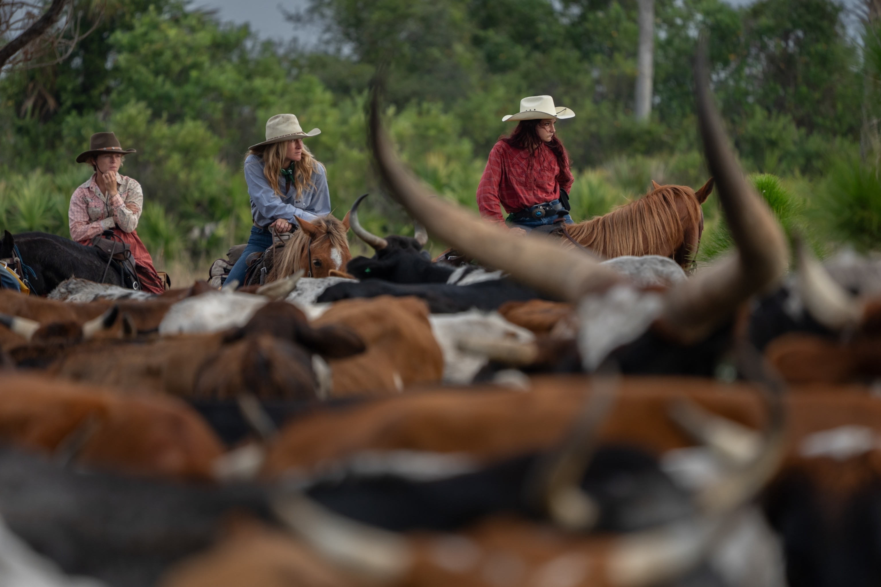 A woman can be seen through the horns of