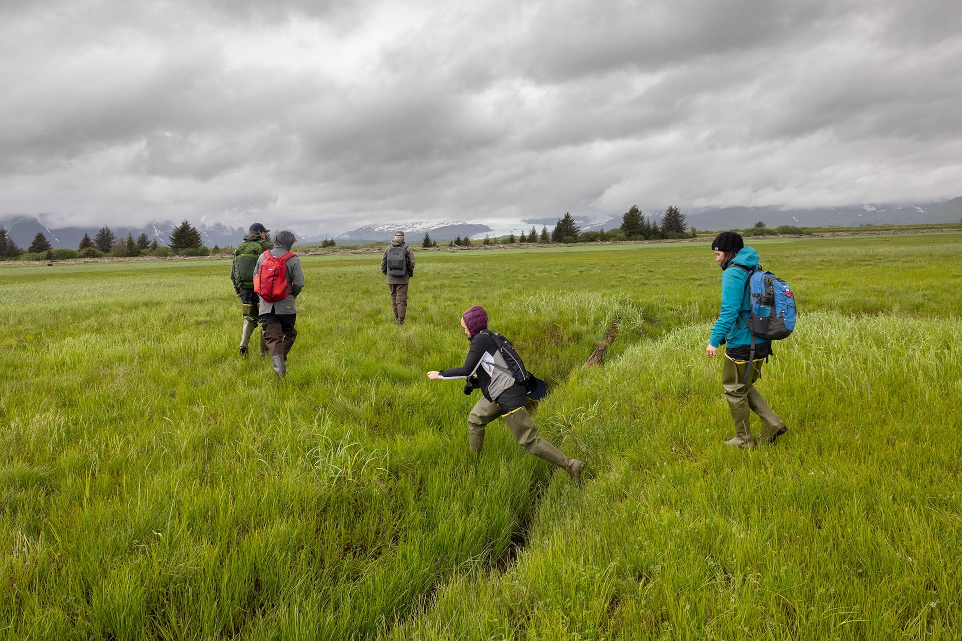 A tour group crosses the grasslands of Hallo Bay in a line in Alaska's Katmai National Park