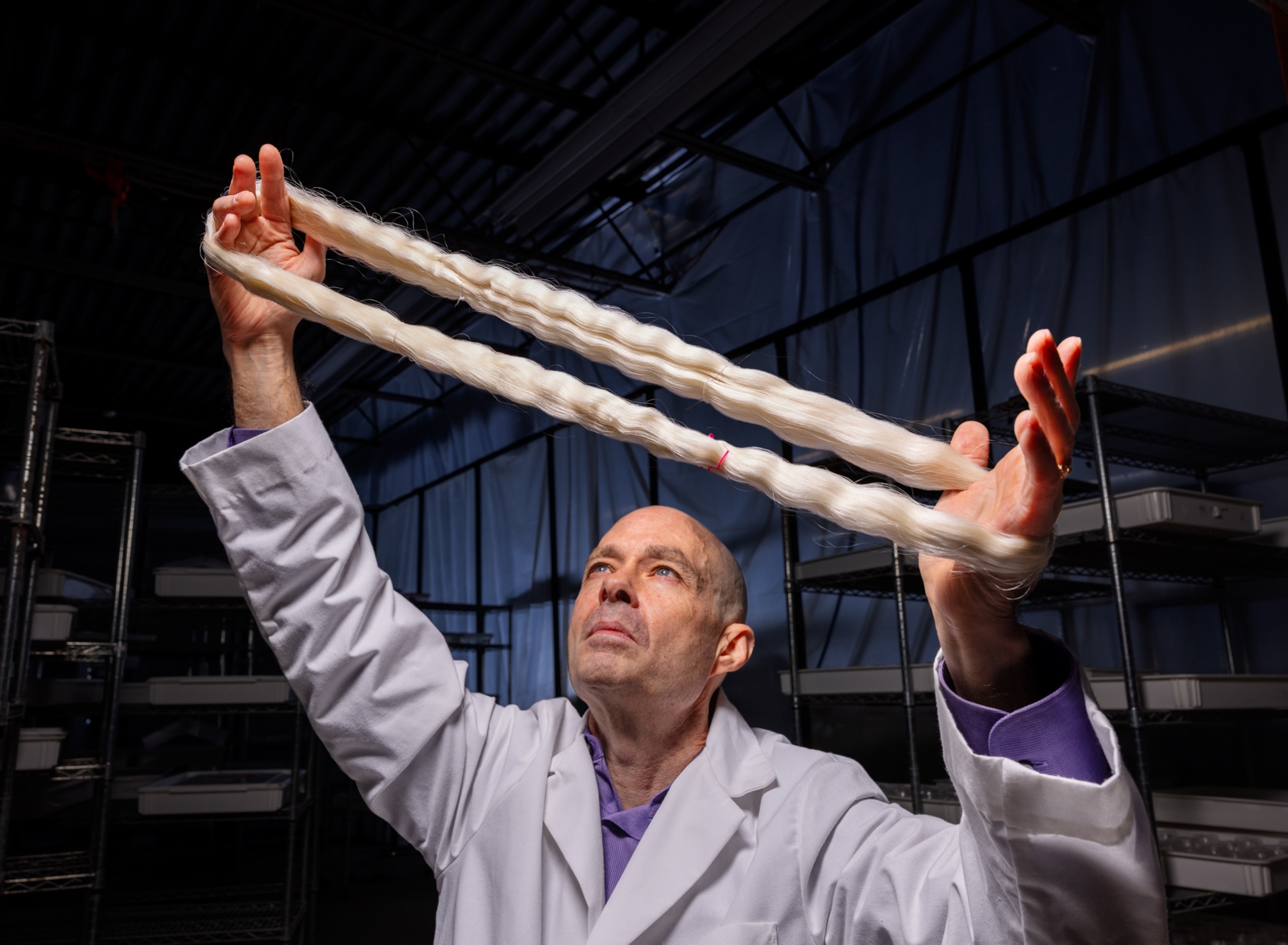 Man in white lab coat looking at the a loop of silk stretched in his hands.