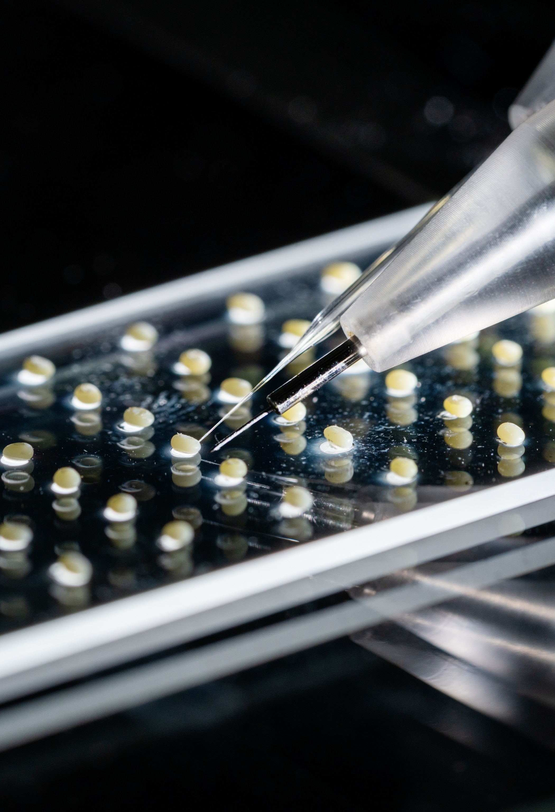 Small round objects organized like a pack of pils from pharmacy and the instrument looking like a pen.