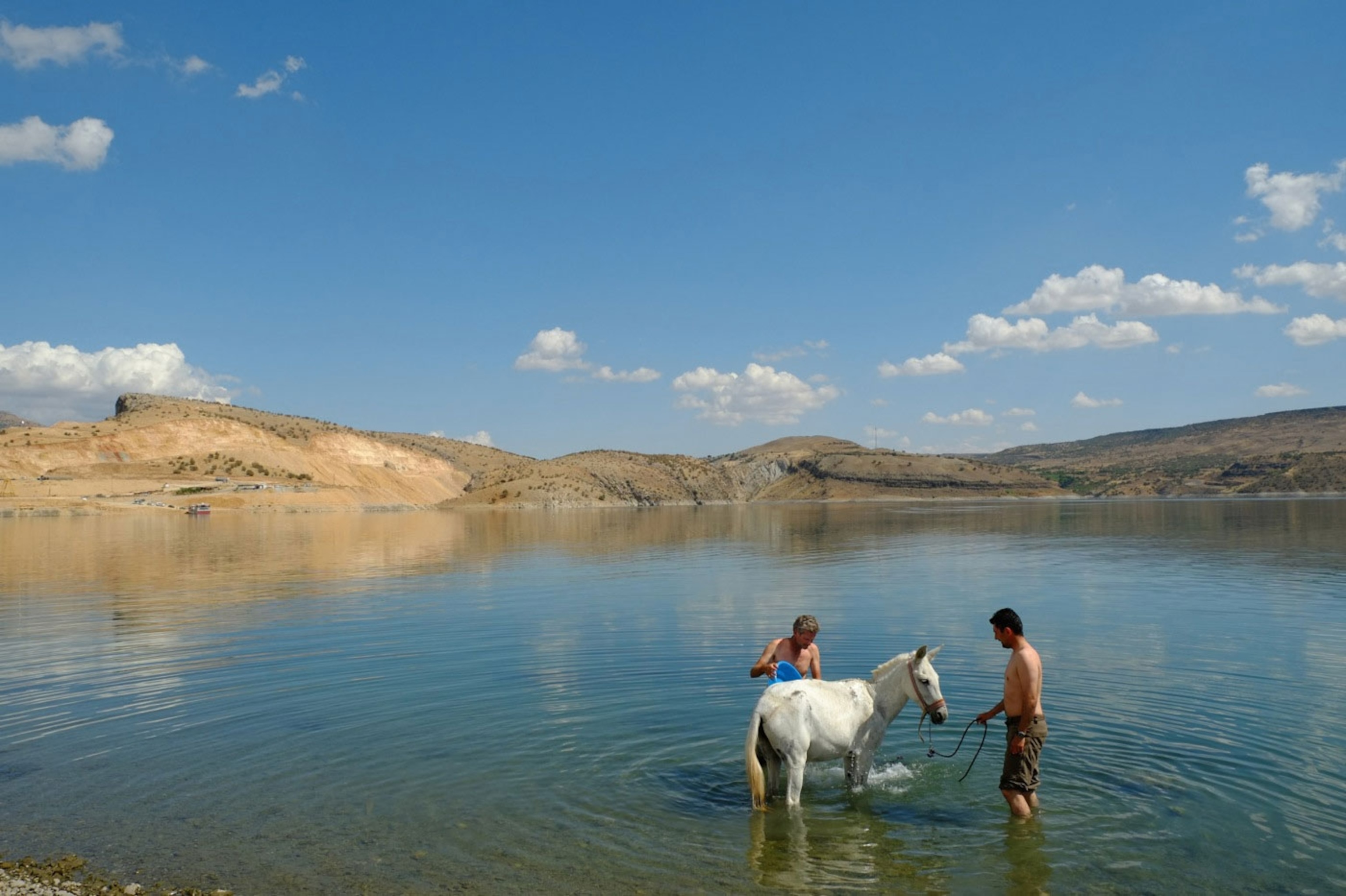 A mountain mule’s first bath in the Euphrates River, with guide Mustafa Filiz. Near Siverek, Turkey. “There are jack mules (male) and jenny or molly mules (female). There are blue mules, cotton mules, sugar mules, and mining mules. There is a mammoth mule that weighs a thousand pounds. George Washington was a mule breeder,” Salopek wrote in “Mule-ology.” “But all mules are immune to politics. There is no idealistic mule.”