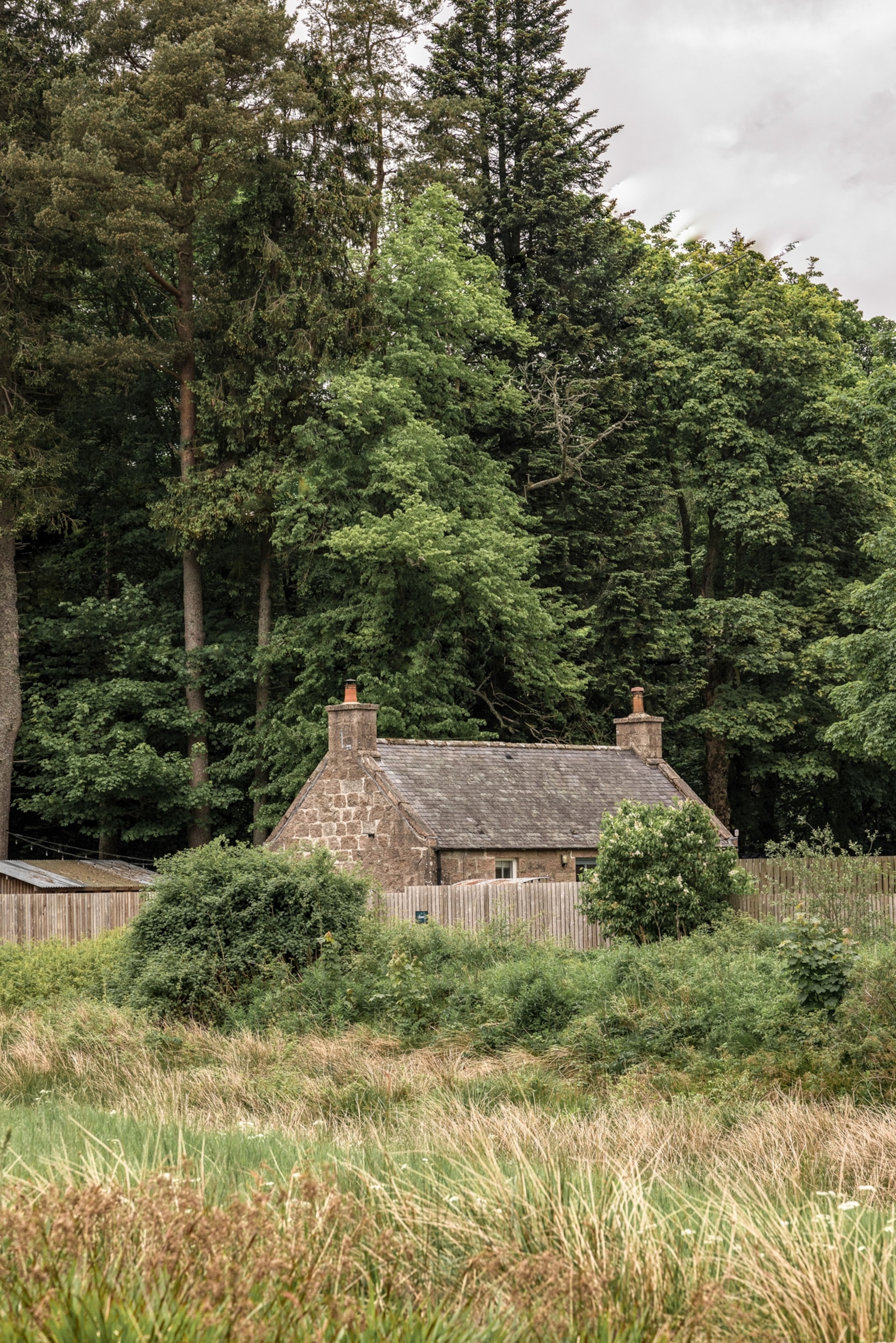 A stone cabin sits in front of tall trees.
