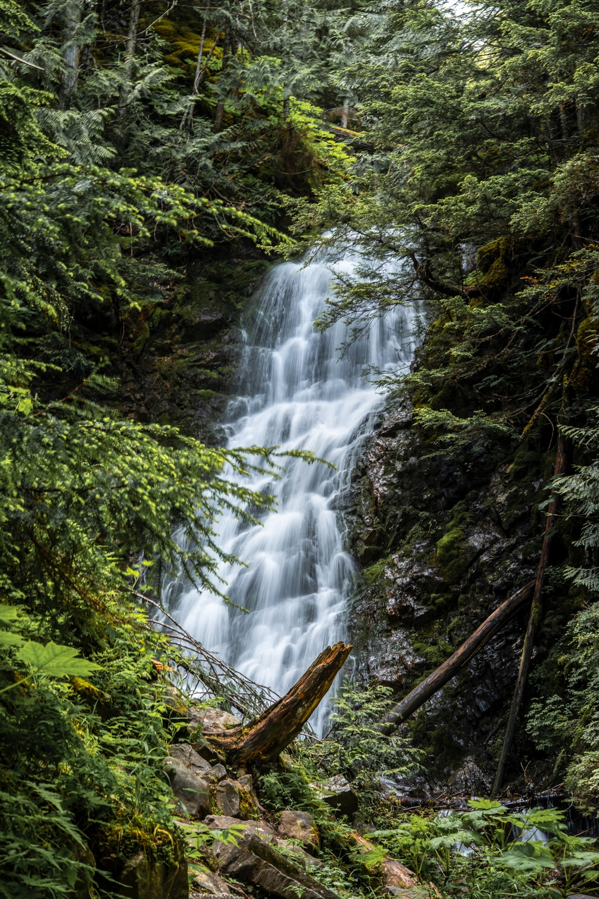 A beautiful waterfall surrounded by thousand year old western redcedars, in British Columbia's Chun T'oh Whudujut Park.